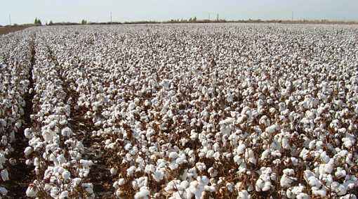 微信圖片_20180108143446.jpg 微信圖片_20180108143446.jpg